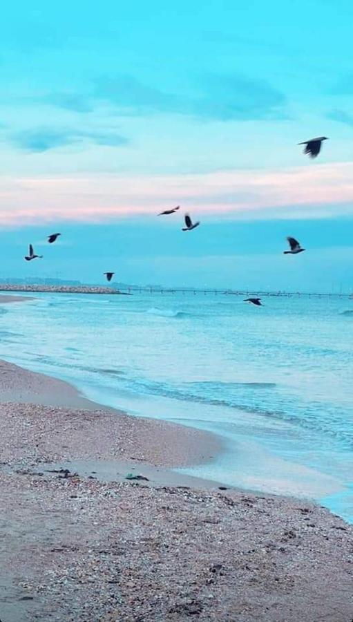 Ayan Moonlight Residence Mamaia Esterno foto